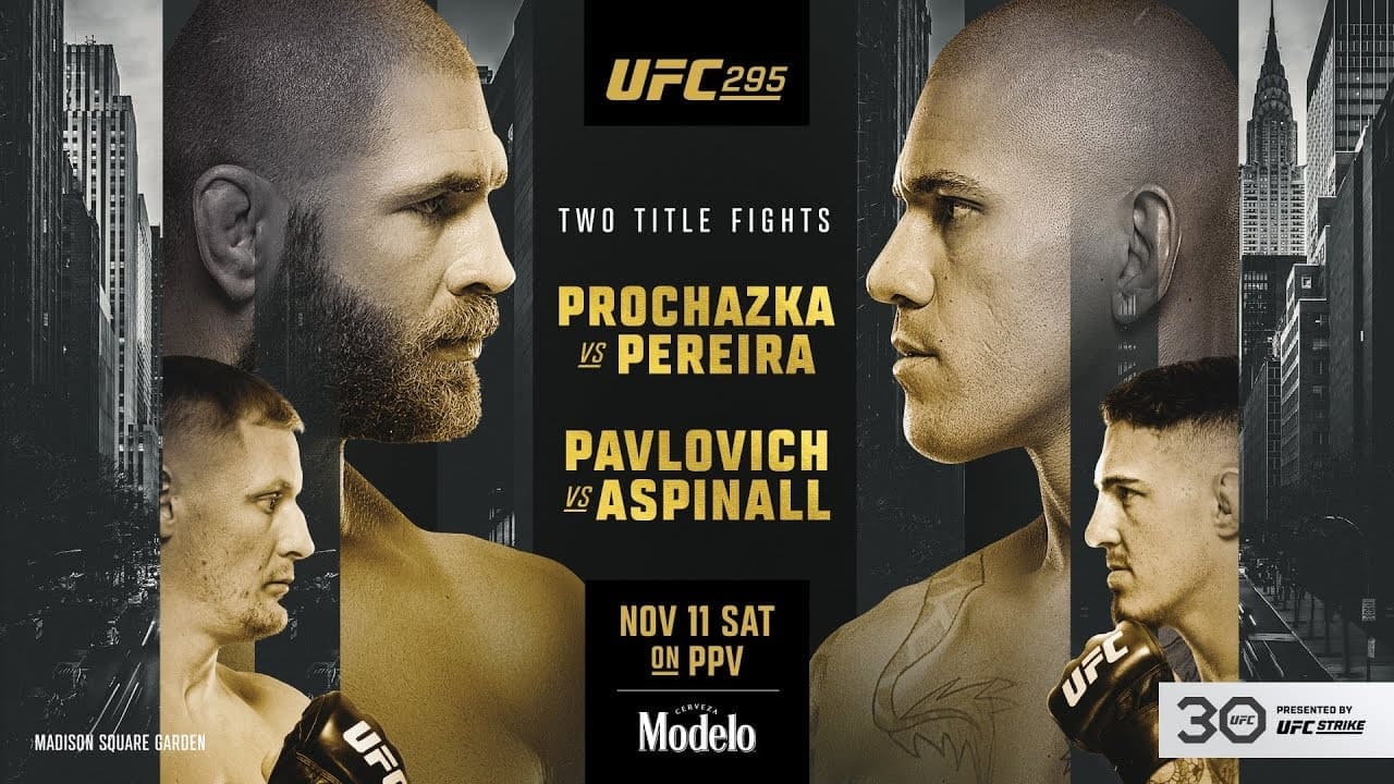 UFC 295 Procházka vs. Pereira: смотреть онлайн