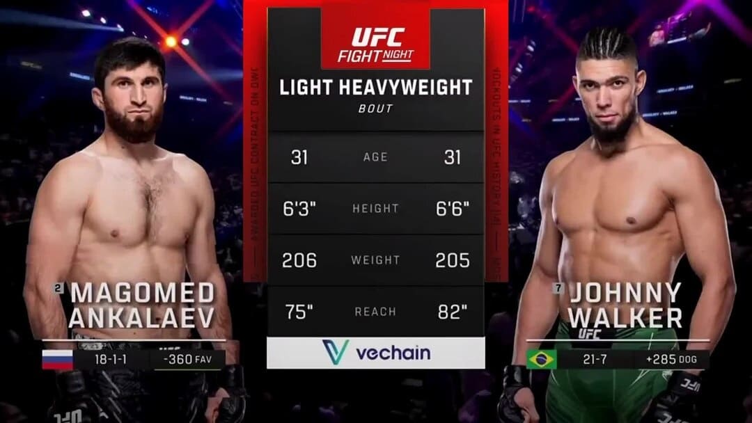 UFC Fight Night 234 Ankalaev vs. Walker 2: видео онлайн