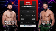 UFC Fight Night 234 Ankalaev vs. Walker 2: видео онлайн